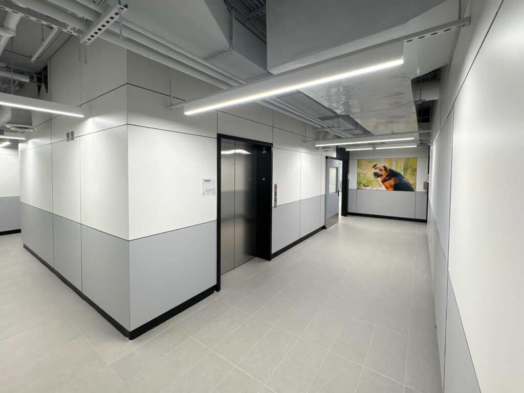 Modern hallway with elevator and artwork