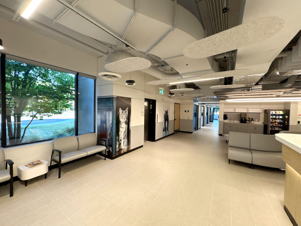 Modern office interior with seating area