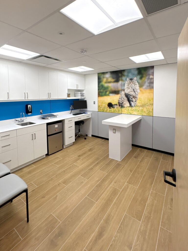 Modern veterinary clinic interior design.