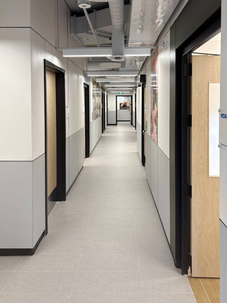 Modern hallway with multiple doors.