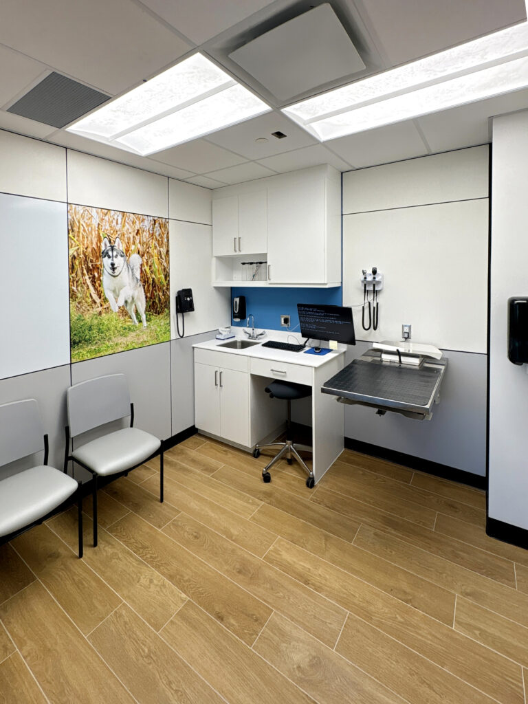 Veterinary clinic examination room interior