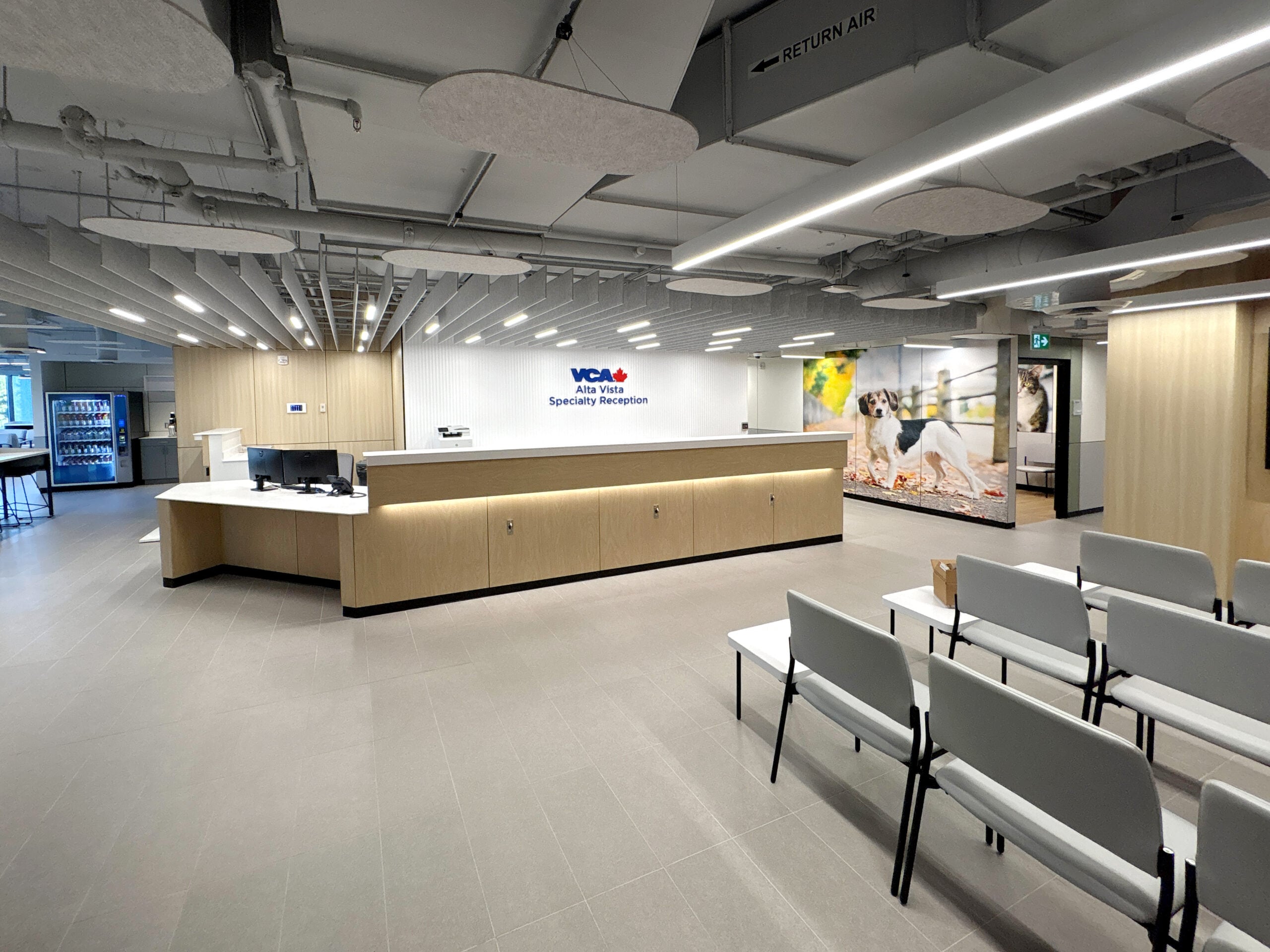 Animal hospital construction with prefabricated interiors, acoustic ceiling baffles, and custom dog wall graphics in reception area