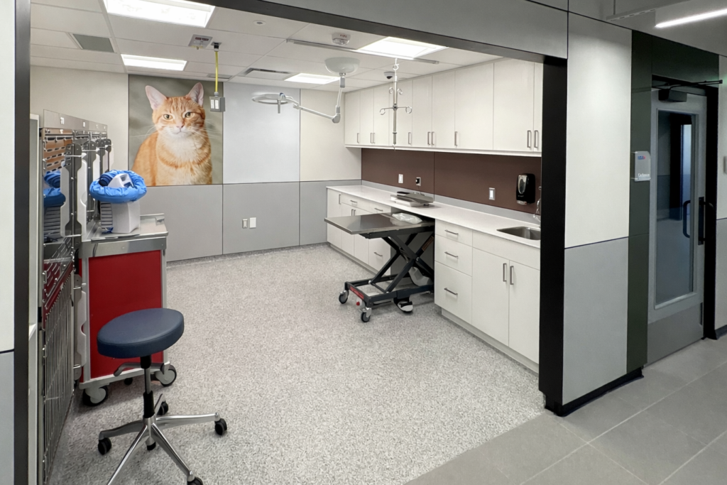 Veterinary clinic with cat mural.