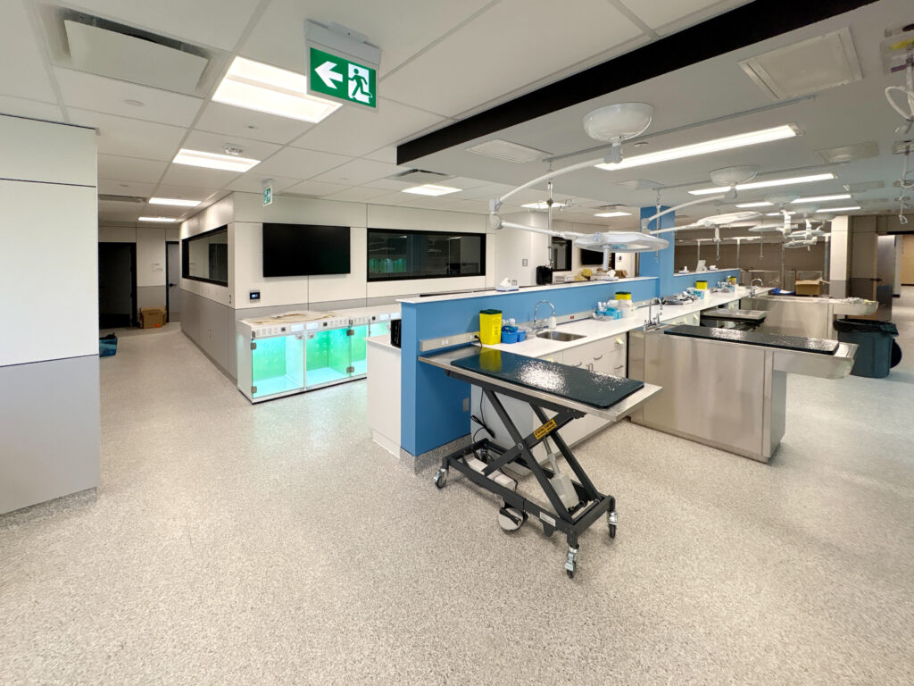 Modern laboratory with aquatic tanks.