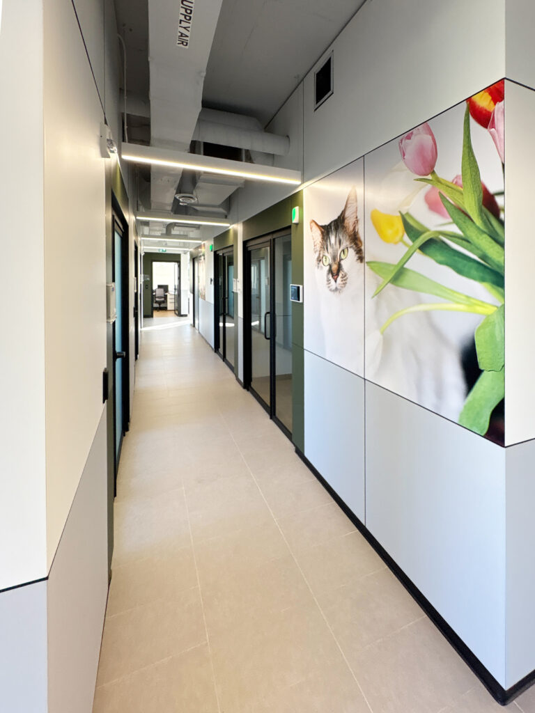 Modern hallway with cat artwork.